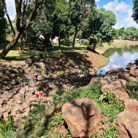 River margins, post NBS implementation