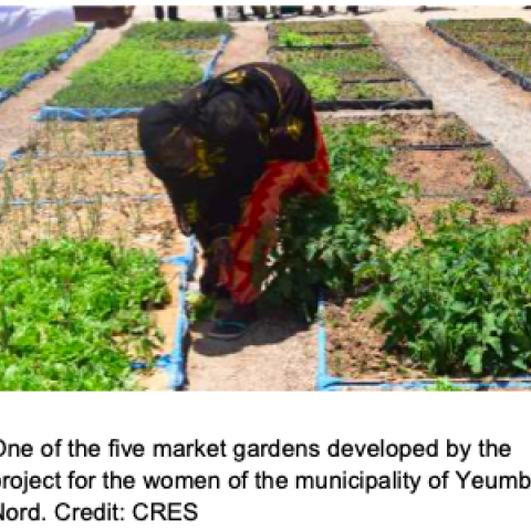 Market gardening