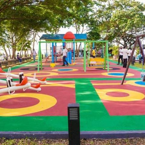 Trees in the urban park