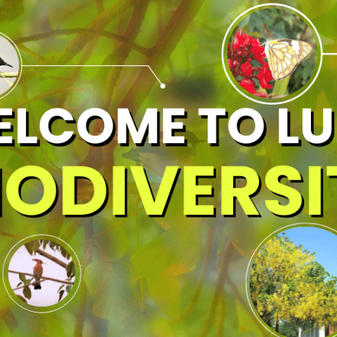 Preserving Biodiversity at LUMS