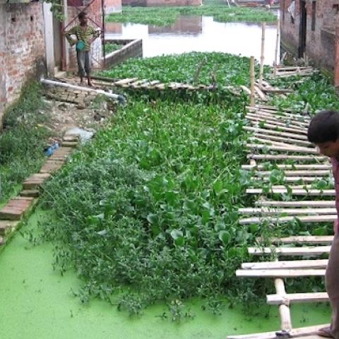 Changing rainfall patterns have led to more frequent flooding in the north Indian city of Gorakhpur, which has involved citizens to come up with nature-based solutions to build resilience