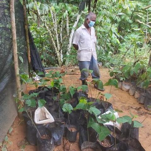 Orang Asli Kampung Pawong Village