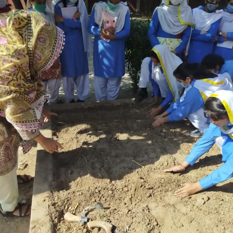 Pilot Project of Community Garden at Government Girls High School, Sher Shah Colony