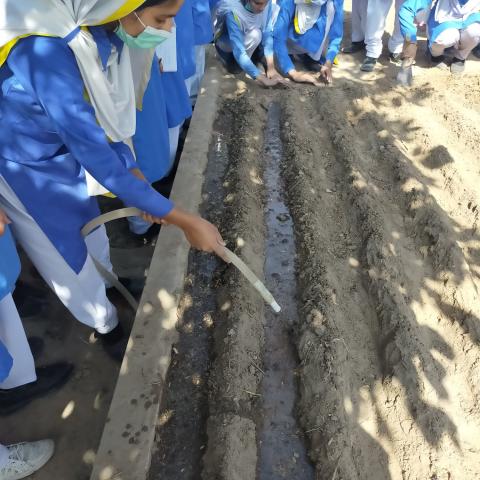 Pilot Project of Community Garden at Government Girls High School, Sher Shah Colony