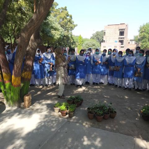 Pilot Project of Community Garden at Government Girls High School, Sher Shah Colony