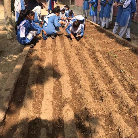 Pilot Project of Community Garden at Government Girls High School, Sher Shah Colony