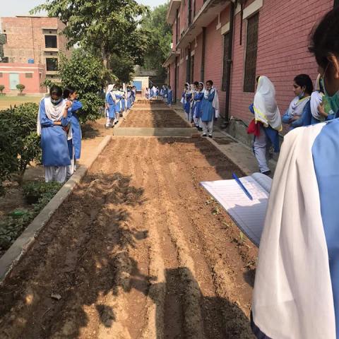 Pilot Project of Community Garden at Government Girls High School, Sher Shah Colony