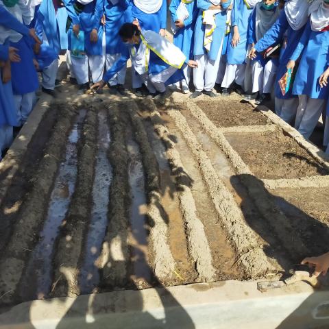 Pilot Project of Community Garden at Government Girls High School, Sher Shah Colony