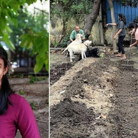 Samyuktha Kannan, a resident of Chennai, Tamil Nadu started a community garden in her locality