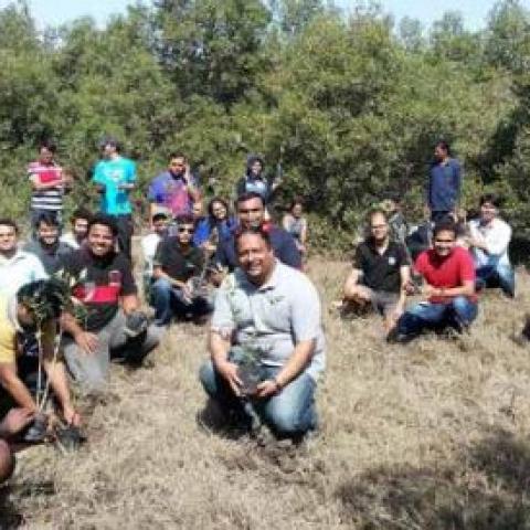 Plantation activity