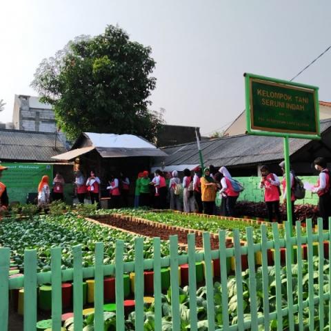 Kelompok Tani Seruni Indah 1