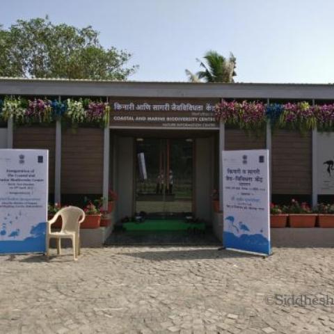 Image showing present Coastal and Marine Biodiversity Centre