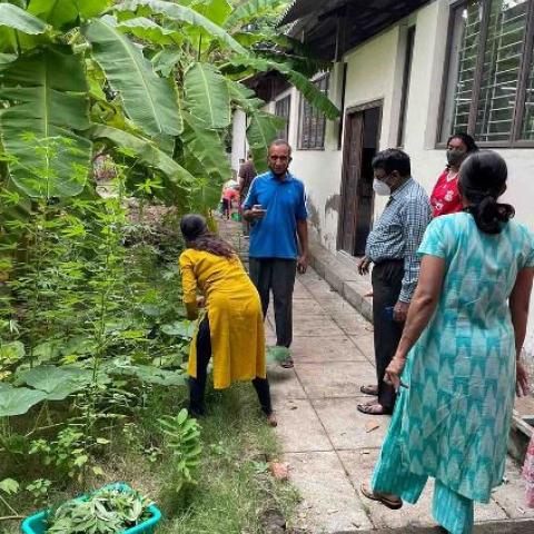 Volunteers in the garden - The produce is shared among the volunteers