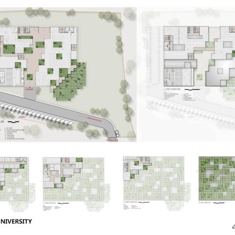 Site Plan and Roof Plan