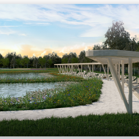 Reconstruction of Botanical Garden