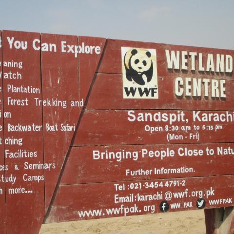 Nurturing Young Saplings