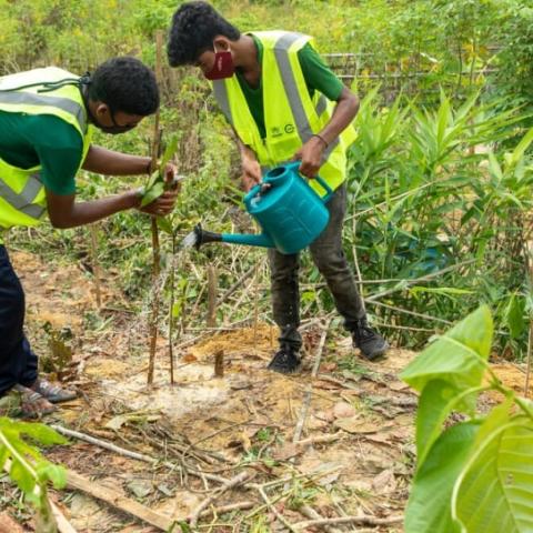 Restoring degraded land and riverine areas in Rohingya Camps