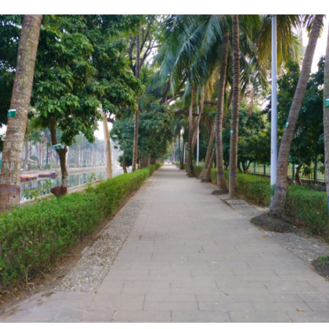 URBAN GREENING ACTIONS