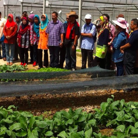 Community gardens in Putrajaya