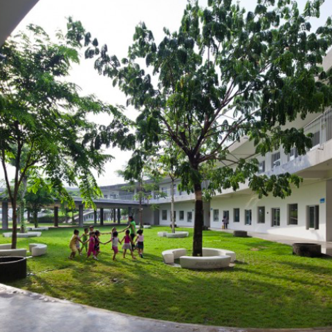 Farming Kindergarten trees