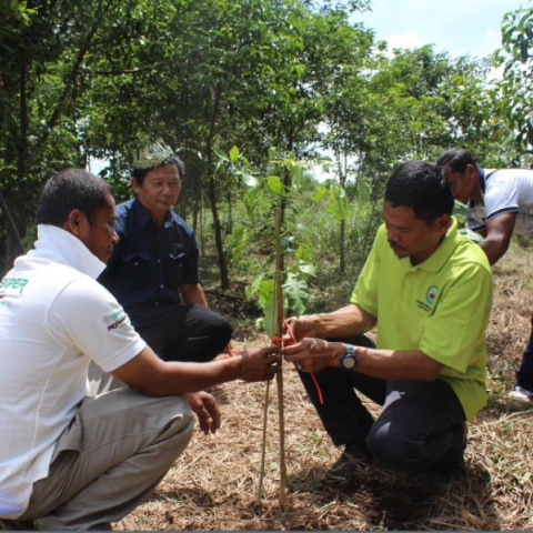 Tree Planting@RMFR