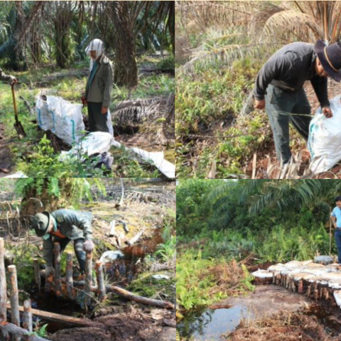 Hydrological restoration_canal blocking