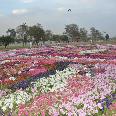 The Greater Iqbal Park