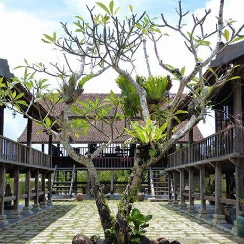 Cultural Village & Retreat Resort 3