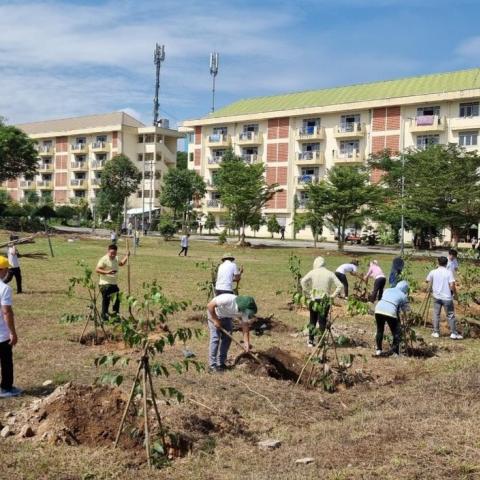 For a green dormitory