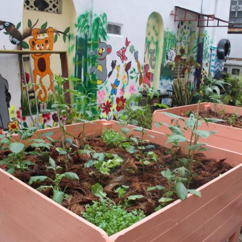 Trash alley to gardens