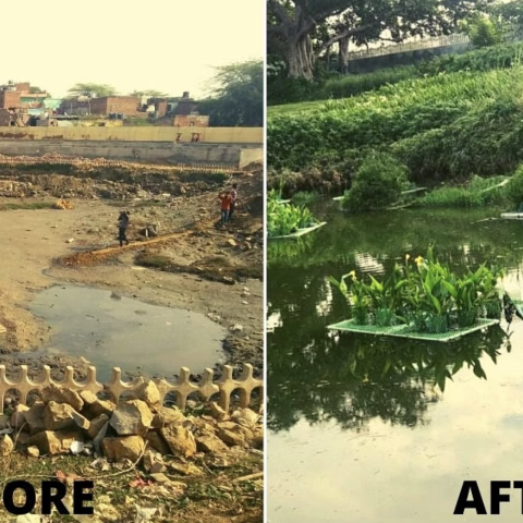 Before and after restoration