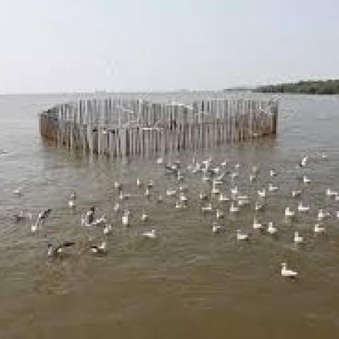 Bangpu Nature Education Centre - Bird habitat