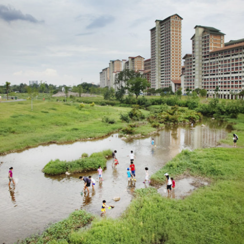 Renaturalisation of the rivers and canals 