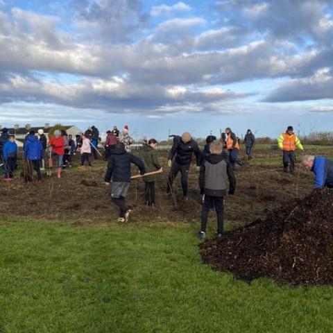 Community planting trees