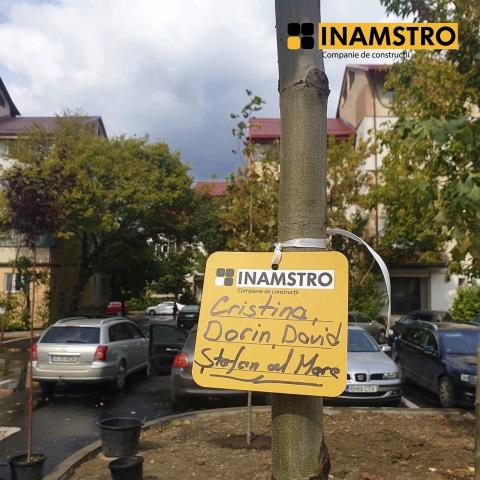 Planted tree with volunteer tag 