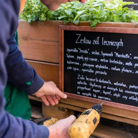 Urban farm on Grobla IV street