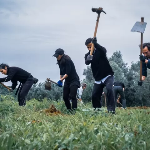 The image shows volunteers working on the mini forests