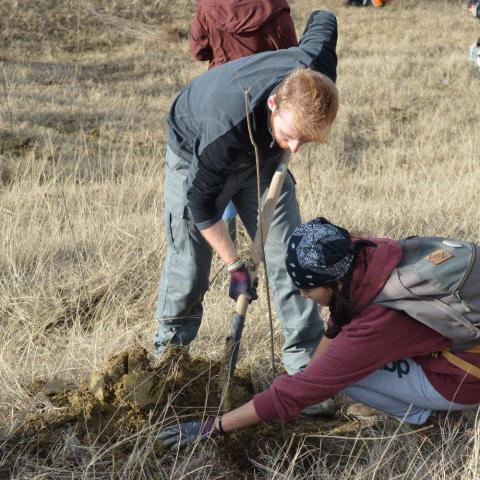 Volunteers planting trees in the area where the NBS is implemented 