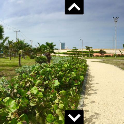 Picture of a green area in the park