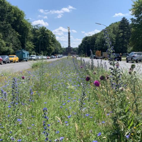 Altonaer Straße in Berlin