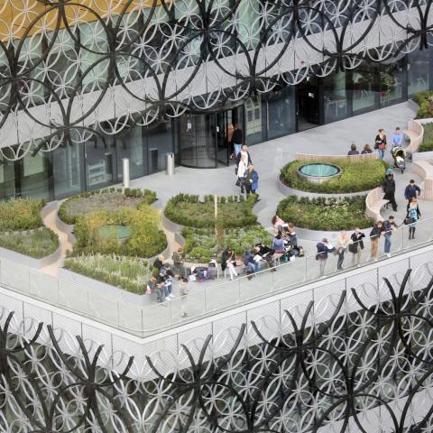 The green roof garden at the Library of Birmingham