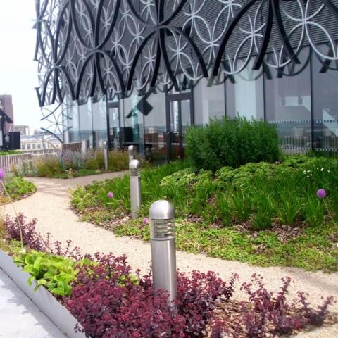 The green roof garden at the Library of Birmingham