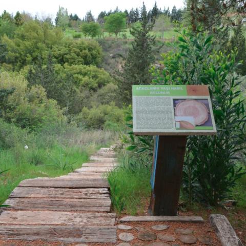 Educational Trail through native maquis vegetation 