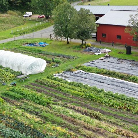 Angered model farm from above, showing the growing beds and parts of the farm buildings.