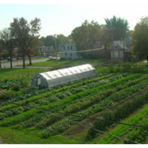 Earthworks urban farm