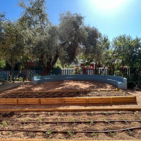 Photo of the school gardens created during the project's implementation.