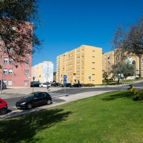 The image shows the added greenery to the neighbourhood.