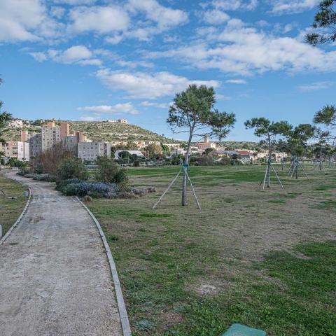 Photo of the park: green spaces, walking path and newly planted trees appear on the left.