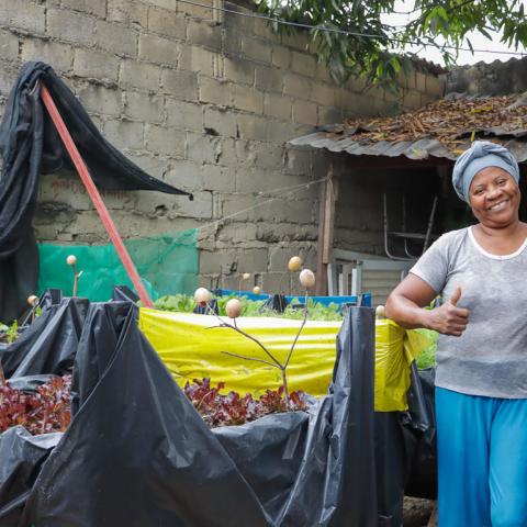 Example of a productive backyard, with a woman standing in the middle of her backyard and the crops in the back