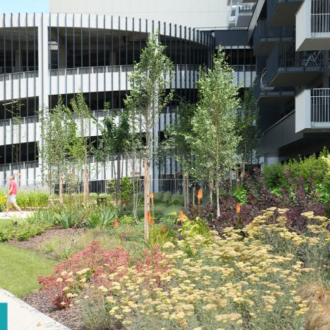 Residential infrastructure combined with green spaces 